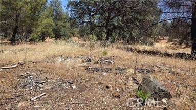 Oroville, CA 95966,0 Colina