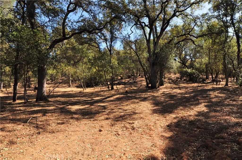 Oroville, CA 95966,205 Cynthiann LN