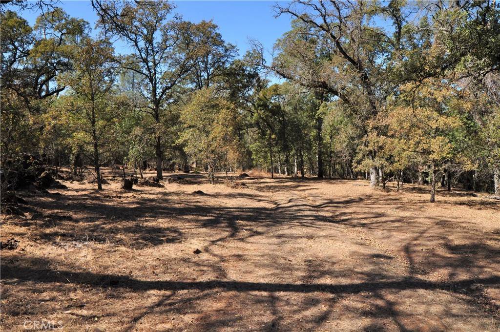 Oroville, CA 95966,205 Cynthiann LN
