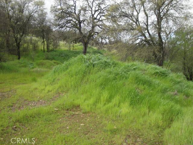 Oroville, CA 95966,0 Lincoln BLVD