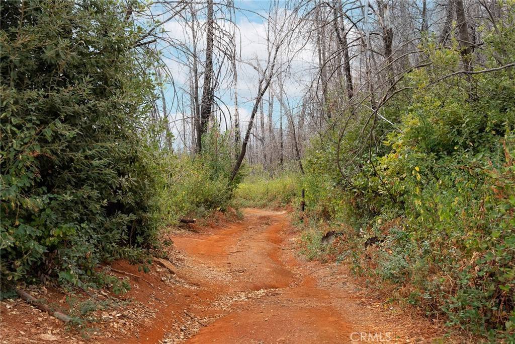 Berry Creek, CA 95916,0 Stephens Ridge Rd