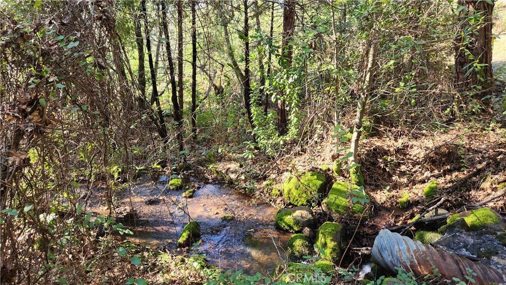 Dobbins, CA 95935,14550 Merriam RD