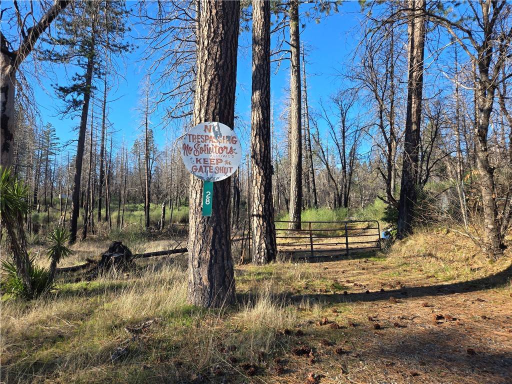 Berry Creek, CA 95916,28 Graystone LN