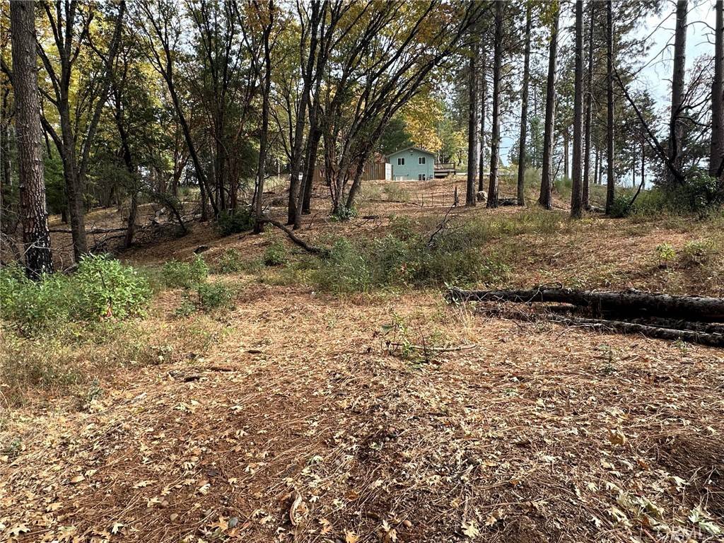 Yankee Hill, CA 95965,0 Bunker Hill Mine Rd