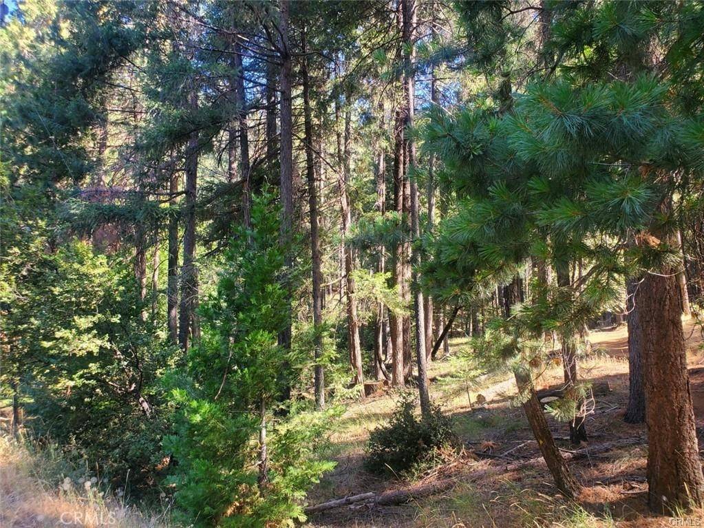 Magalia, CA 95954,14470 Carnegie RD
