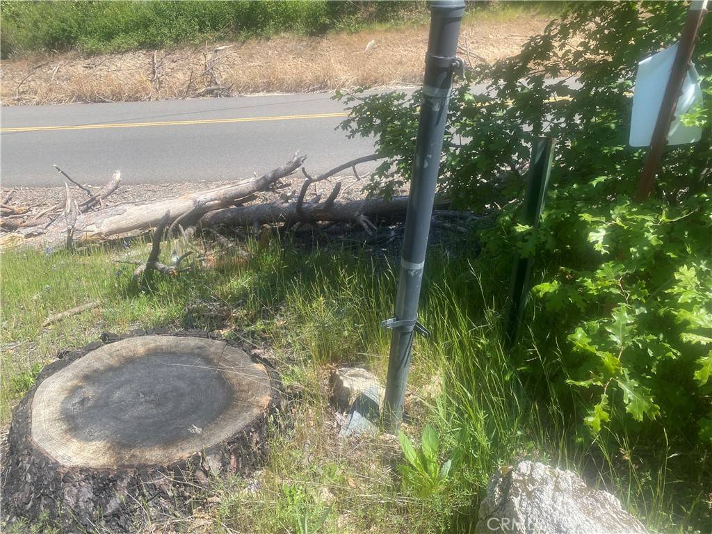 Berry Creek, CA 95916,1103 Bald Rock RD