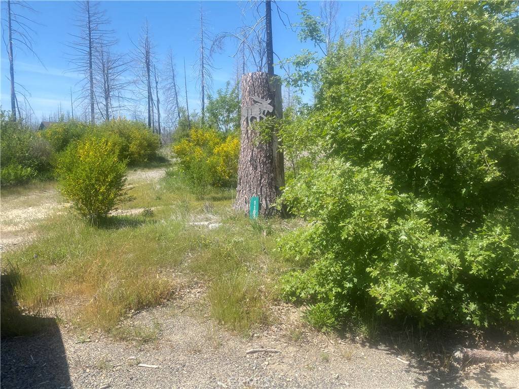 Berry Creek, CA 95916,1103 Bald Rock RD