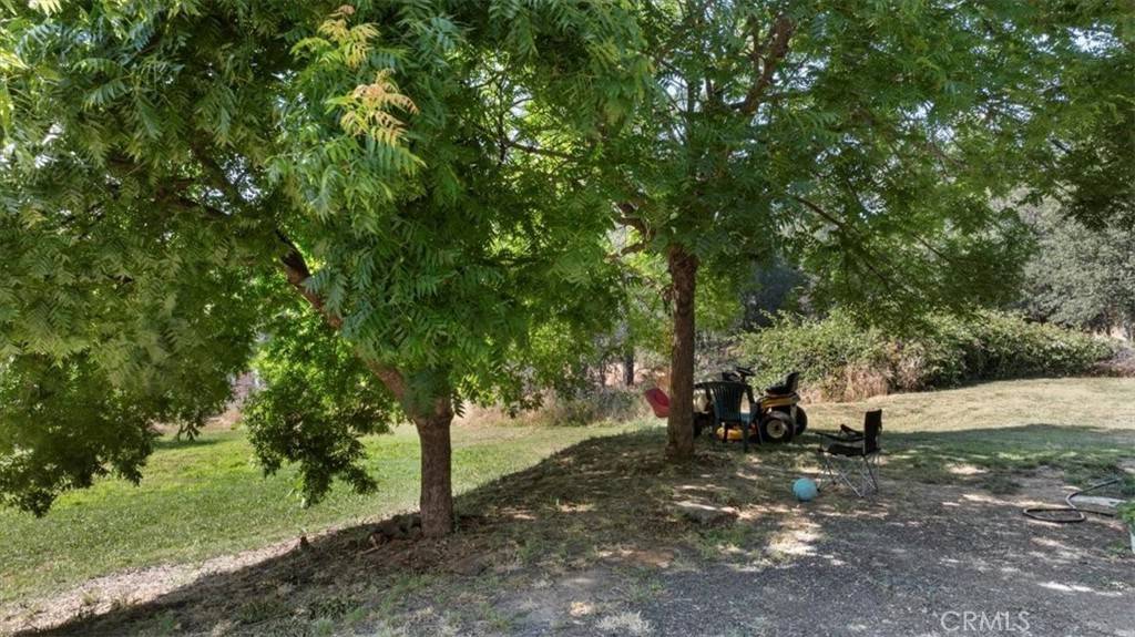 Oroville, CA 95966,3731 Olive