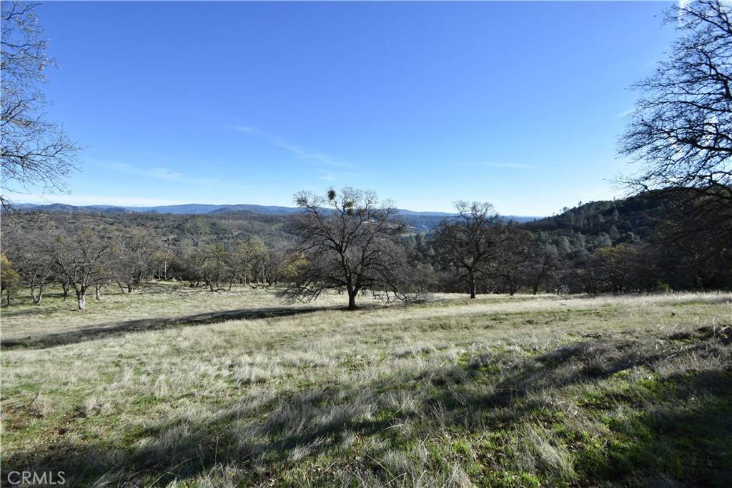 Oroville, CA 95965,1193 Oregon Gulch RD