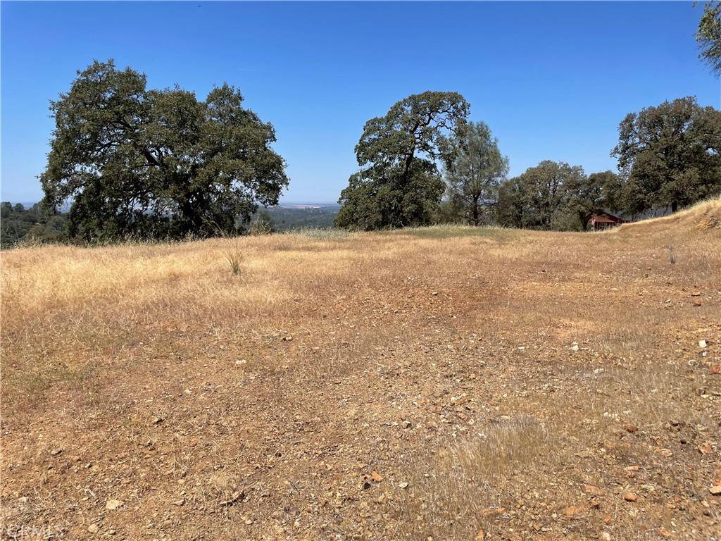 Browns Valley, CA 95918,7607 White Oak LN