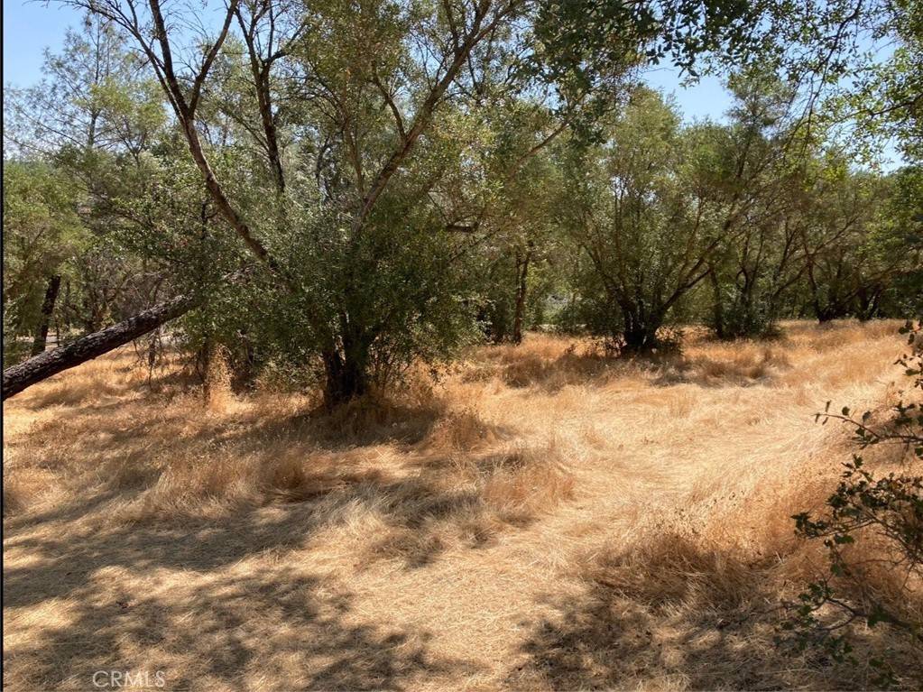 Oroville, CA 95966,2870 Oro Garden Ranch RD