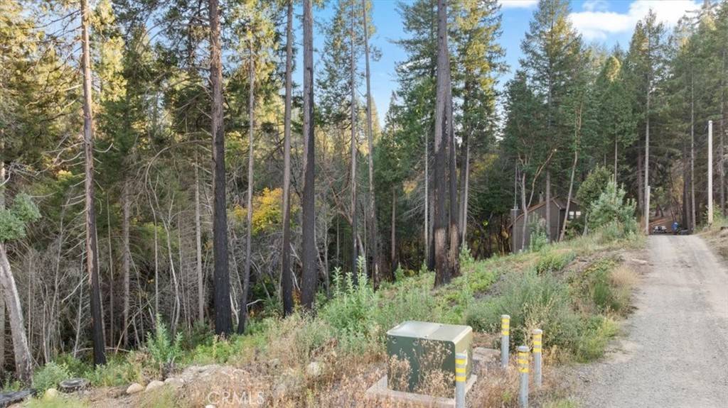 Berry Creek, CA 95916,0 Path in the Woods