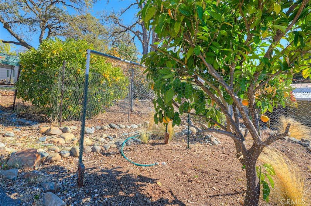 Oroville, CA 95966,61 Greenbrier