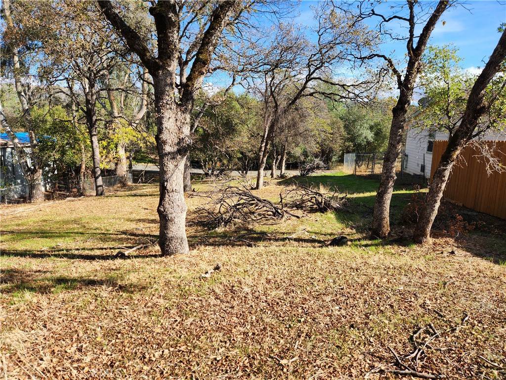 Oroville, CA 95966,590 Lodgeview DR