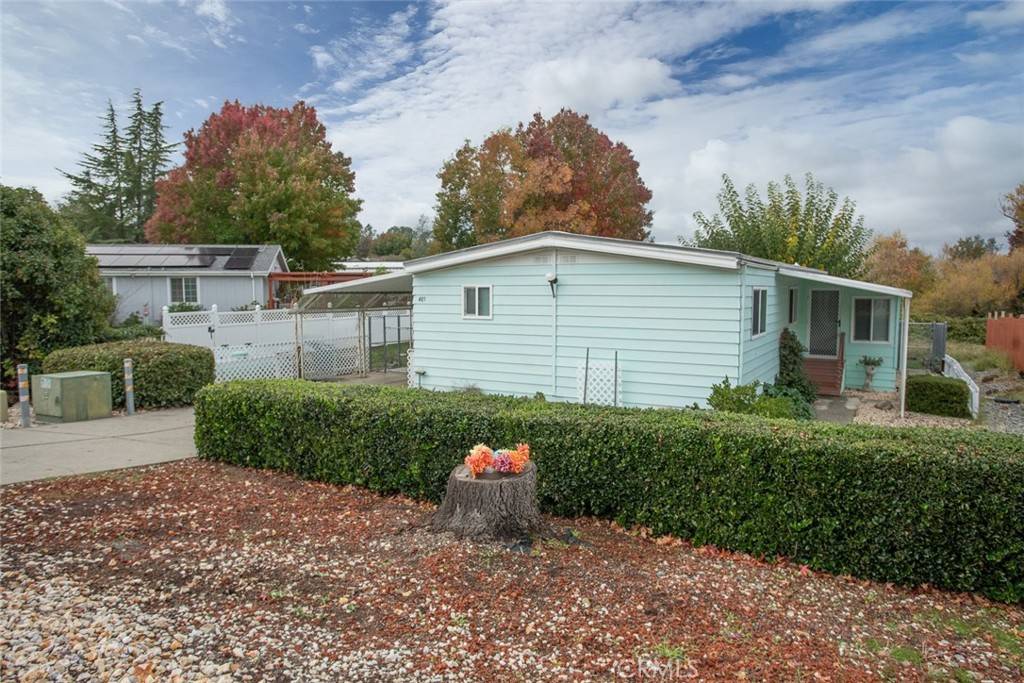 Oroville, CA 95966,485 Silver Leaf