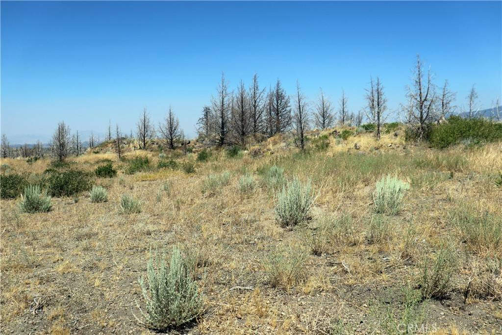 Weed, CA 96094,0 Juniper Valley DR