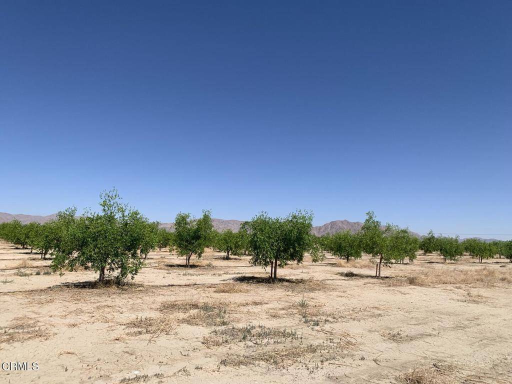 Lucerne Valley, CA 92356,12500 Locust AVE