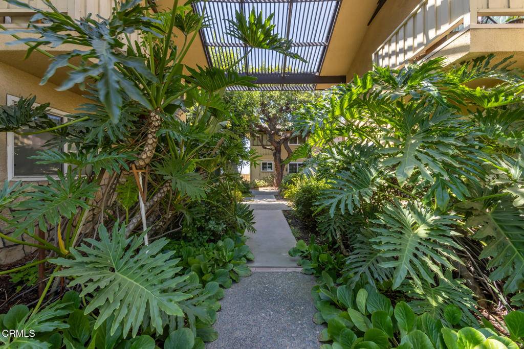 Pasadena, CA 91107,385 Cliff DR #2
