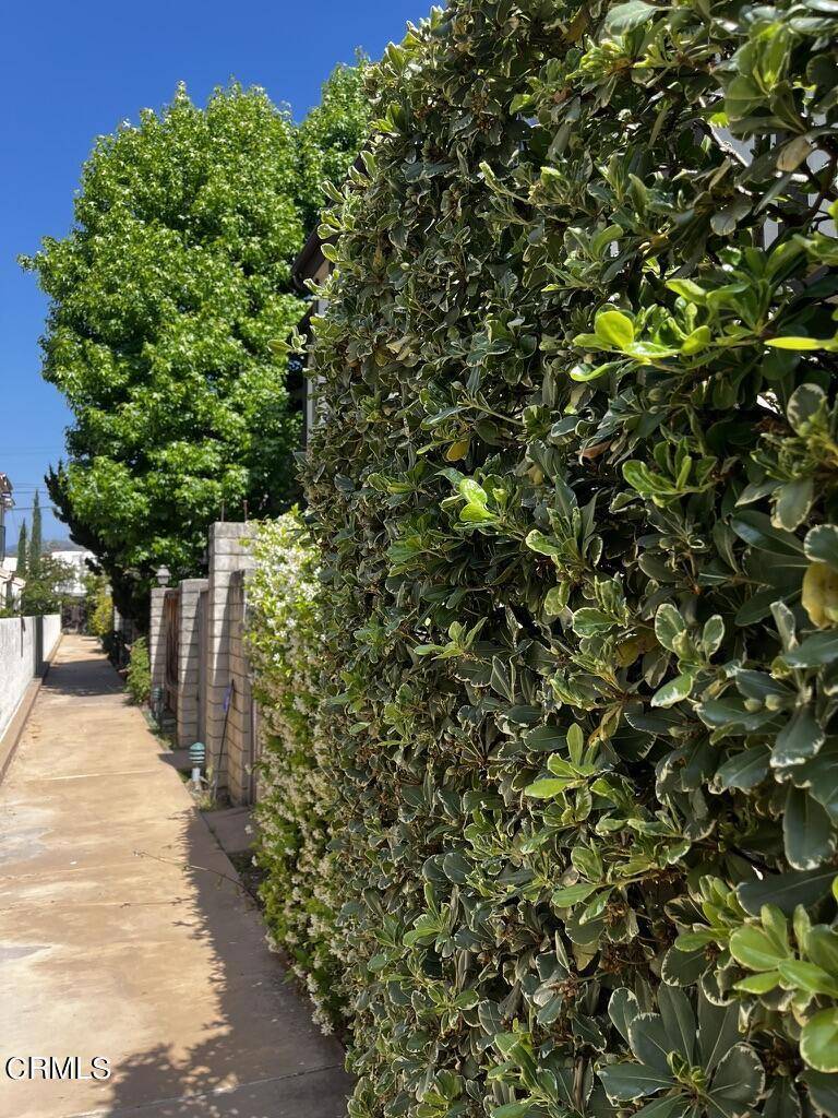 Glendale, CA 91207,1122 Campbell ST #3