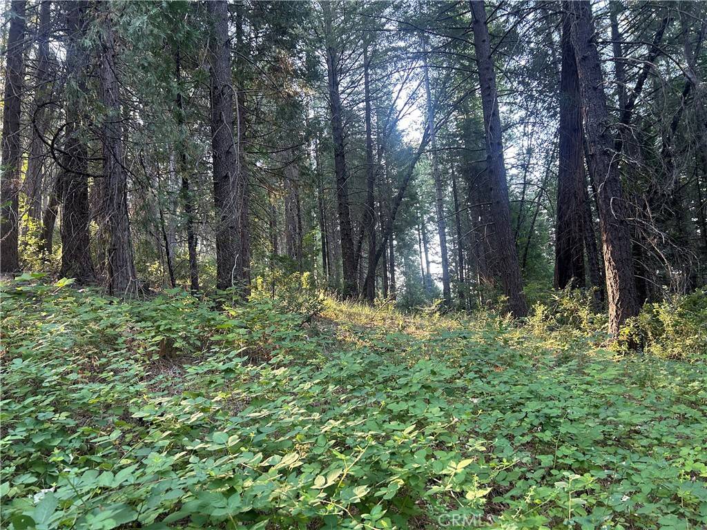 Magalia, CA 95954,6418 Hupp Coutolenc RD