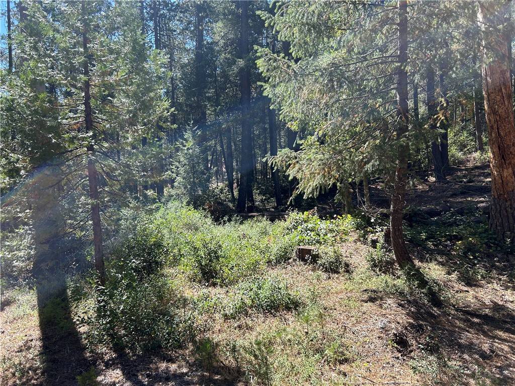 Magalia, CA 95954,0 coutelenc