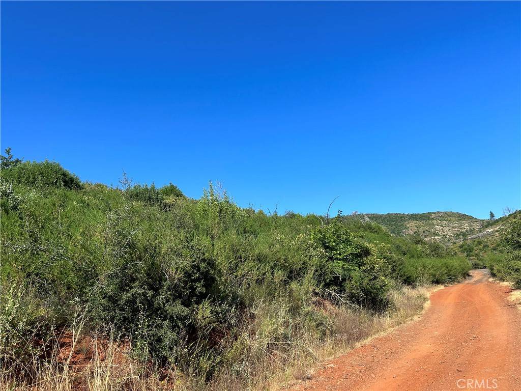 Oroville, CA 95965,13351 Hog Ranch RD