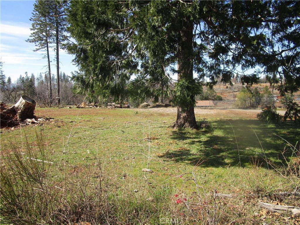 Paradise, CA 95969,5347 Edgewood LN