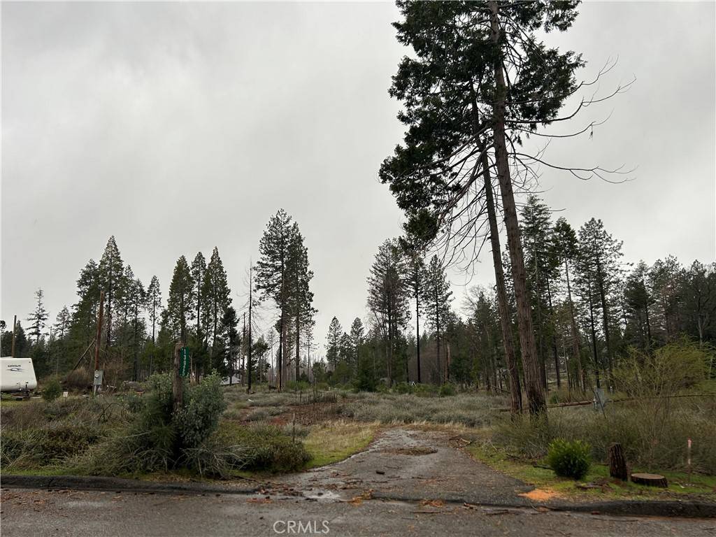 Magalia, CA 95954,13925 Chestnut CIR