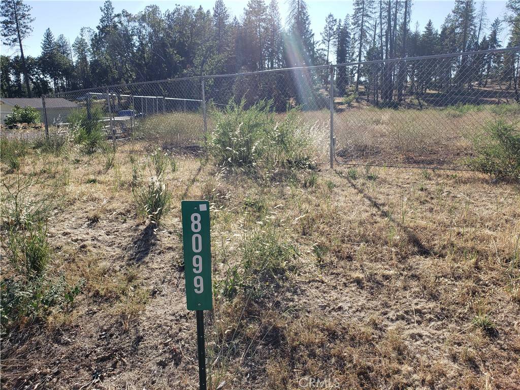 Paradise, CA 95969,8099 Skyway