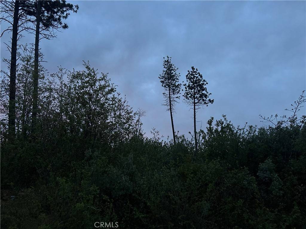 Concow, CA 94965,1 hog ranch RD