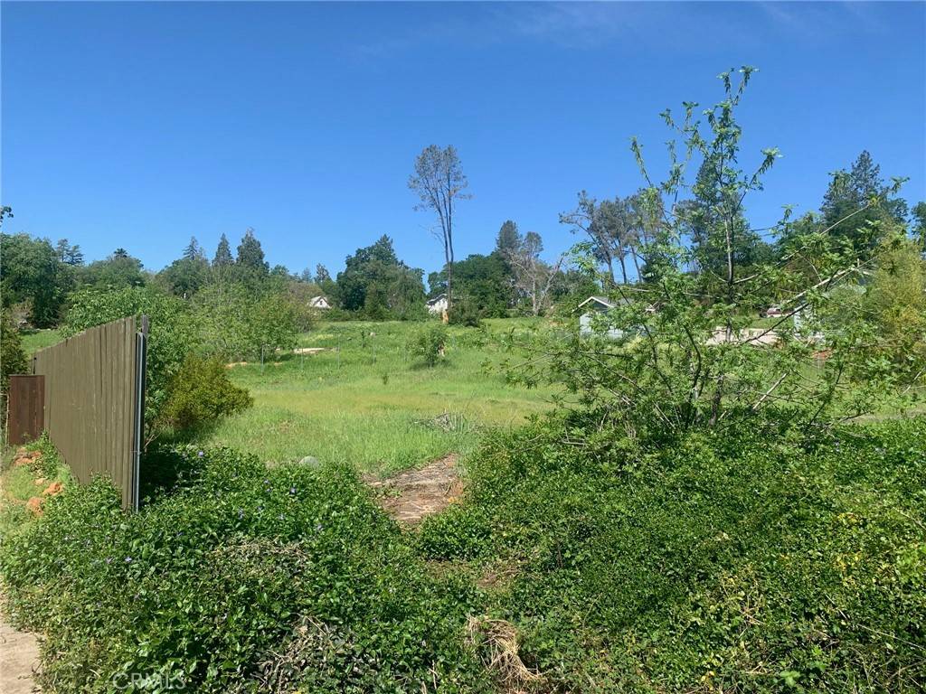 Paradise, CA 95969,5295 Scottwood DR