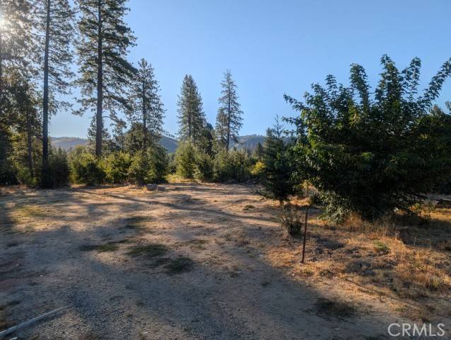 Oroville, CA 95965,13330 Ambleside DR