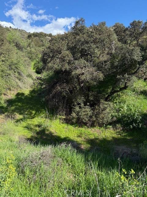 Glendale, CA 91206,0 Greenwich RD