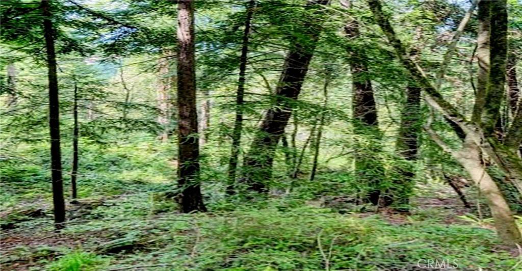 Guerneville, CA 95446,18176 HWY 116