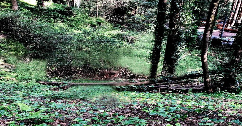 Guerneville, CA 95446,18176 HWY 116
