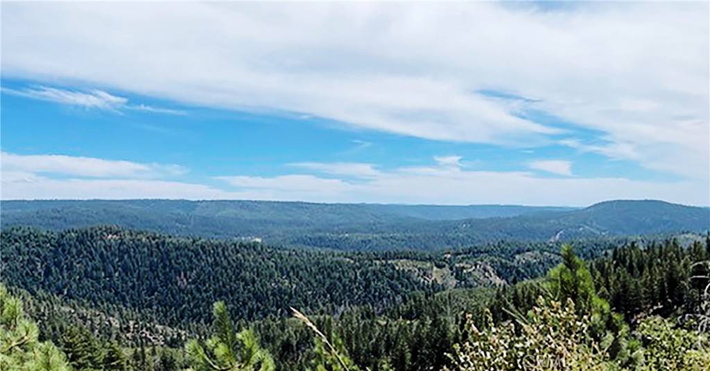 Nevada City, CA 95959,15052 Red Hill Spring RD