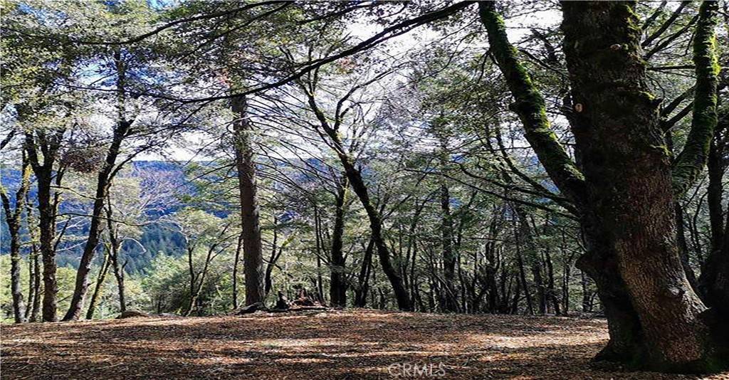 Nevada City, CA 95959,15052 Red Hill Spring RD