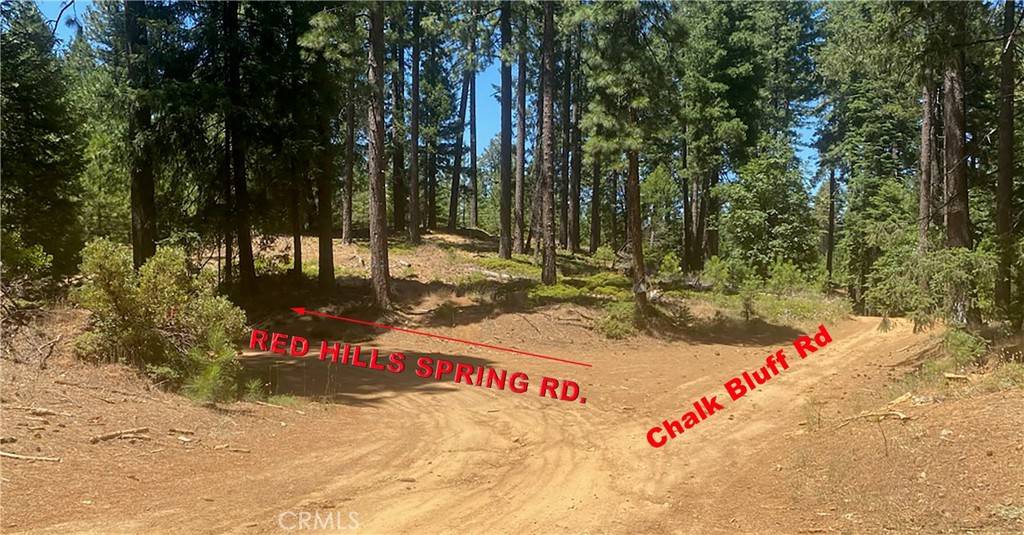 Nevada City, CA 95959,15052 Red Hill Spring RD