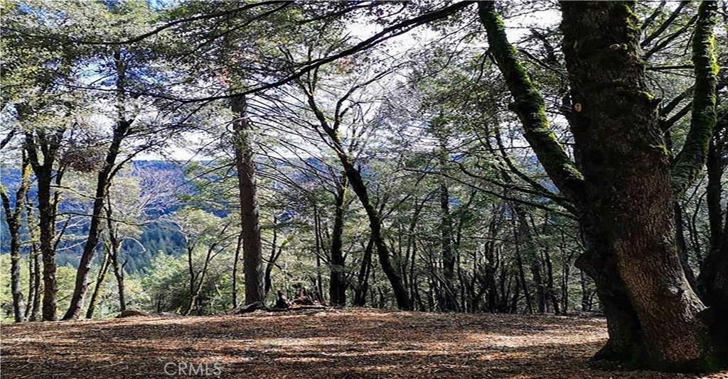 Nevada City, CA 95959,15052 Red Hill Spring RD