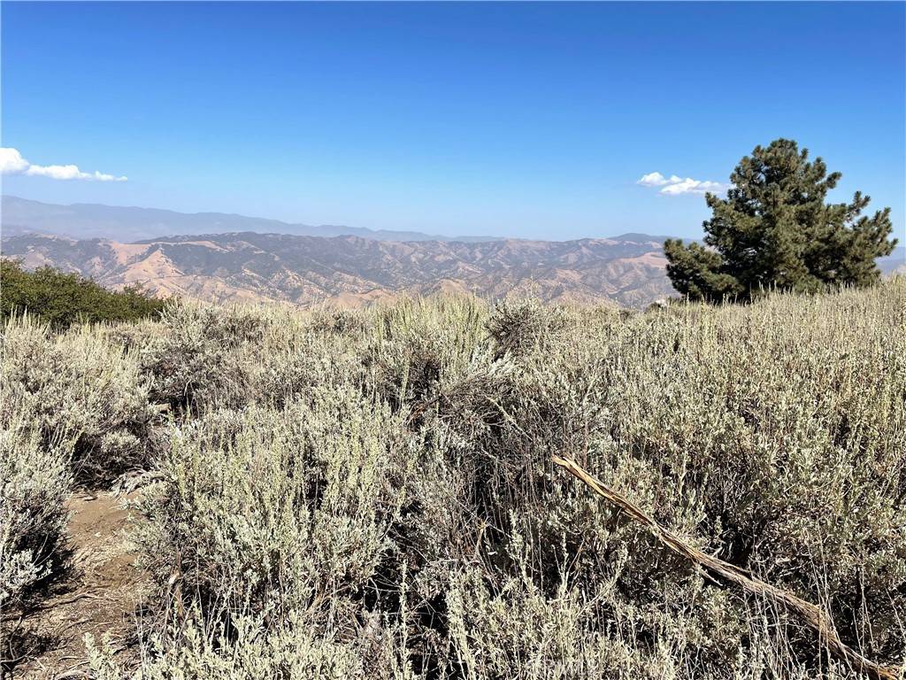 Tehachapi, CA 93561,25610 Jacaranda DR