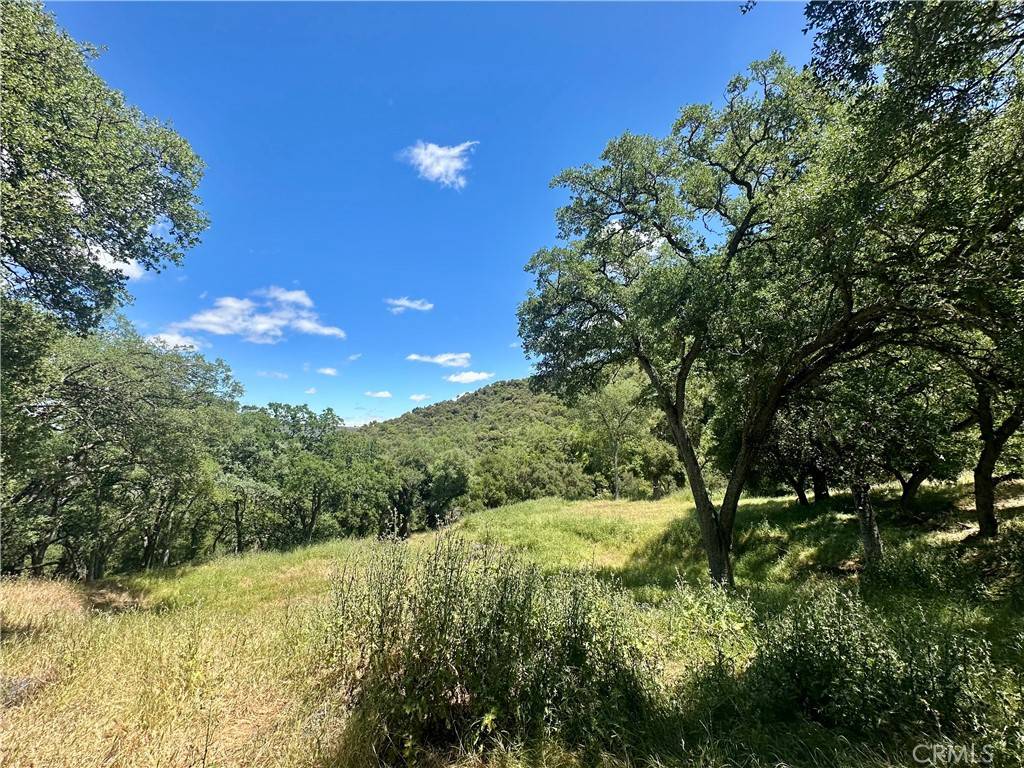 Santa Maria, CA 93454,0 Tepusquet RD
