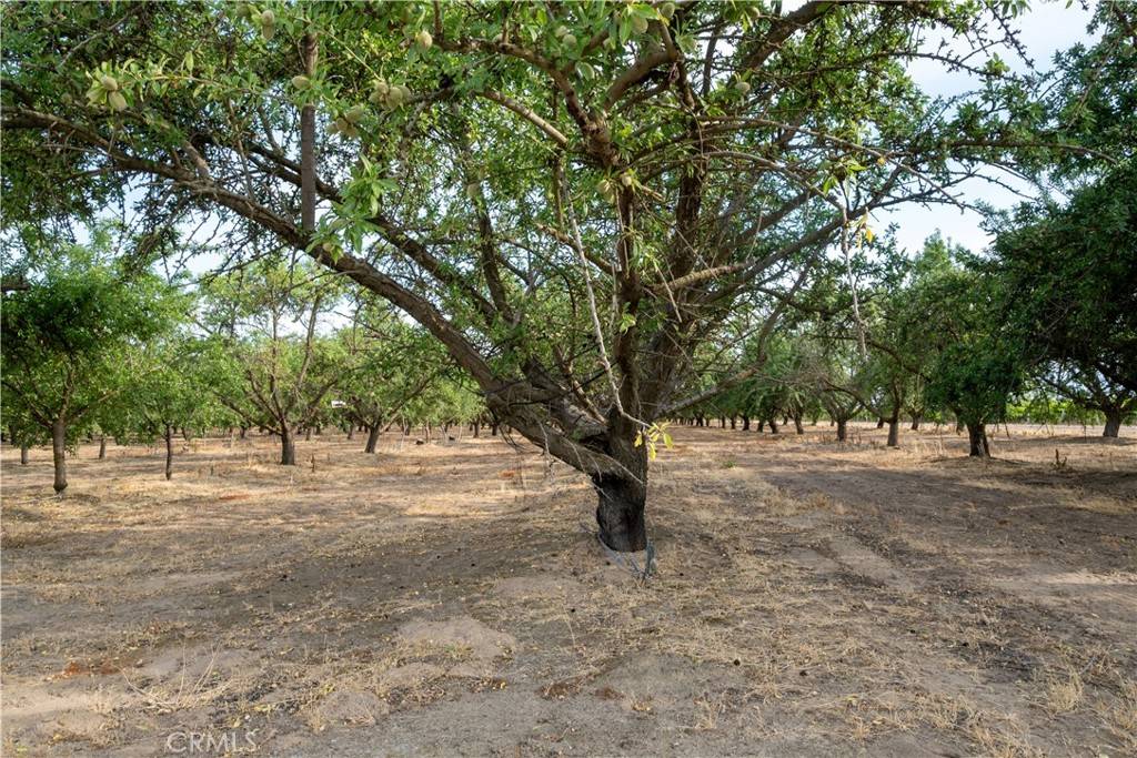Madera, CA 93637,5702 Highway 145