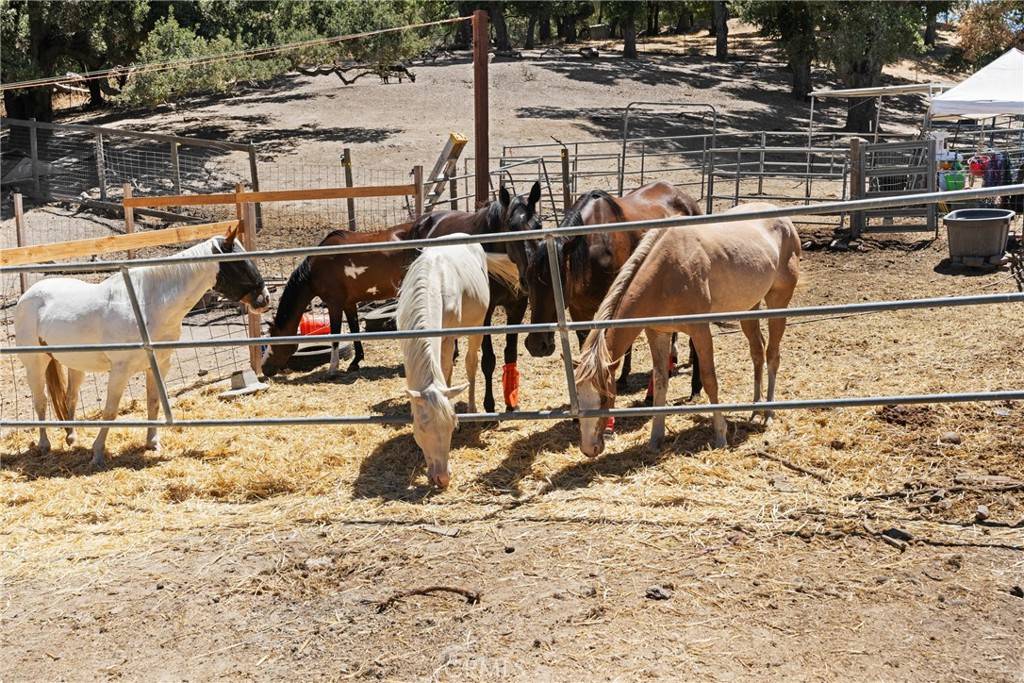 Atascadero, CA 93422,8505 Santa Lucia RD