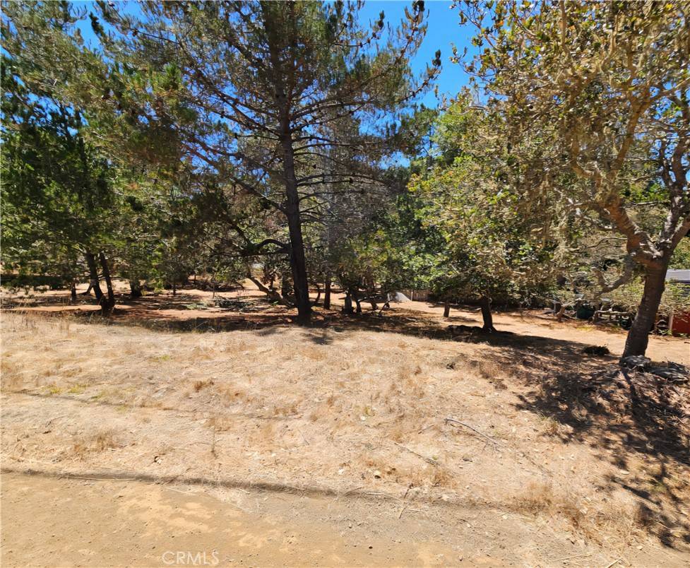 Cambria, CA 93428,0 Tully PL