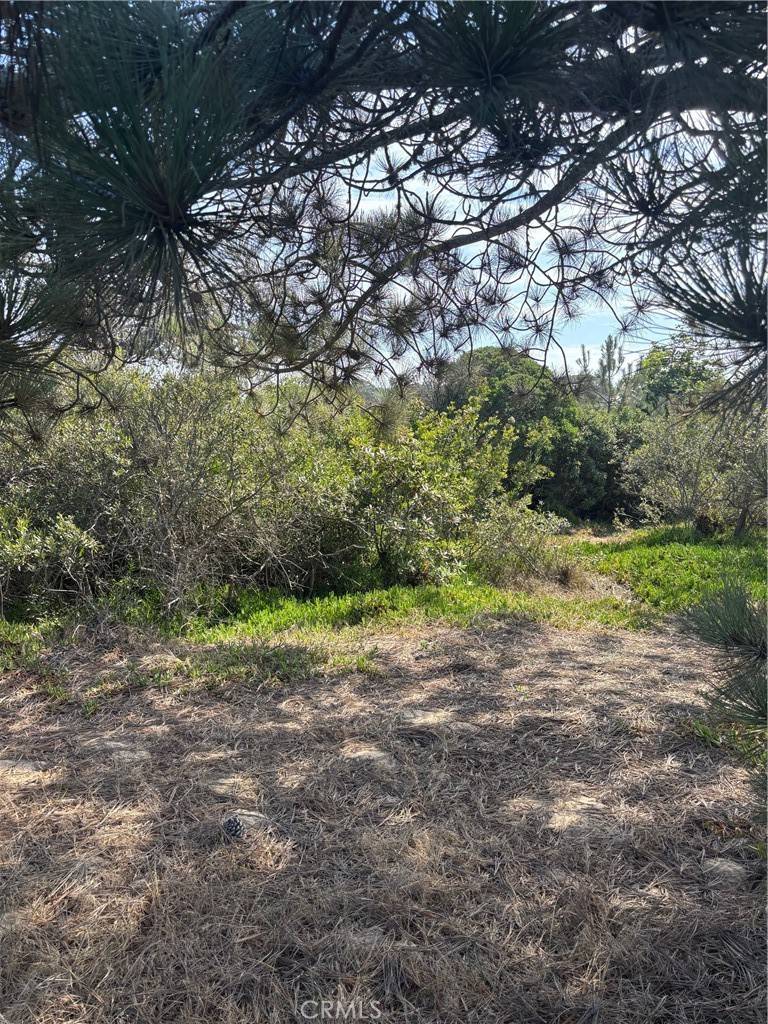 Oceano, CA 93445,0 Smith AVE