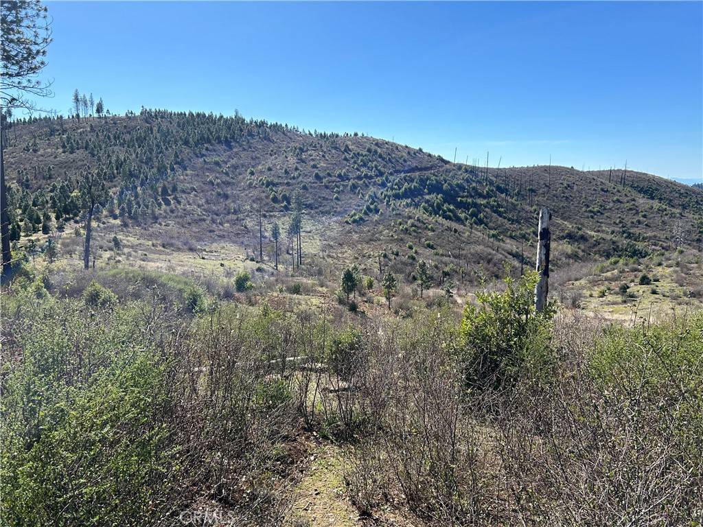 Oroville, CA 95965,1234 Hog Ranch Rd