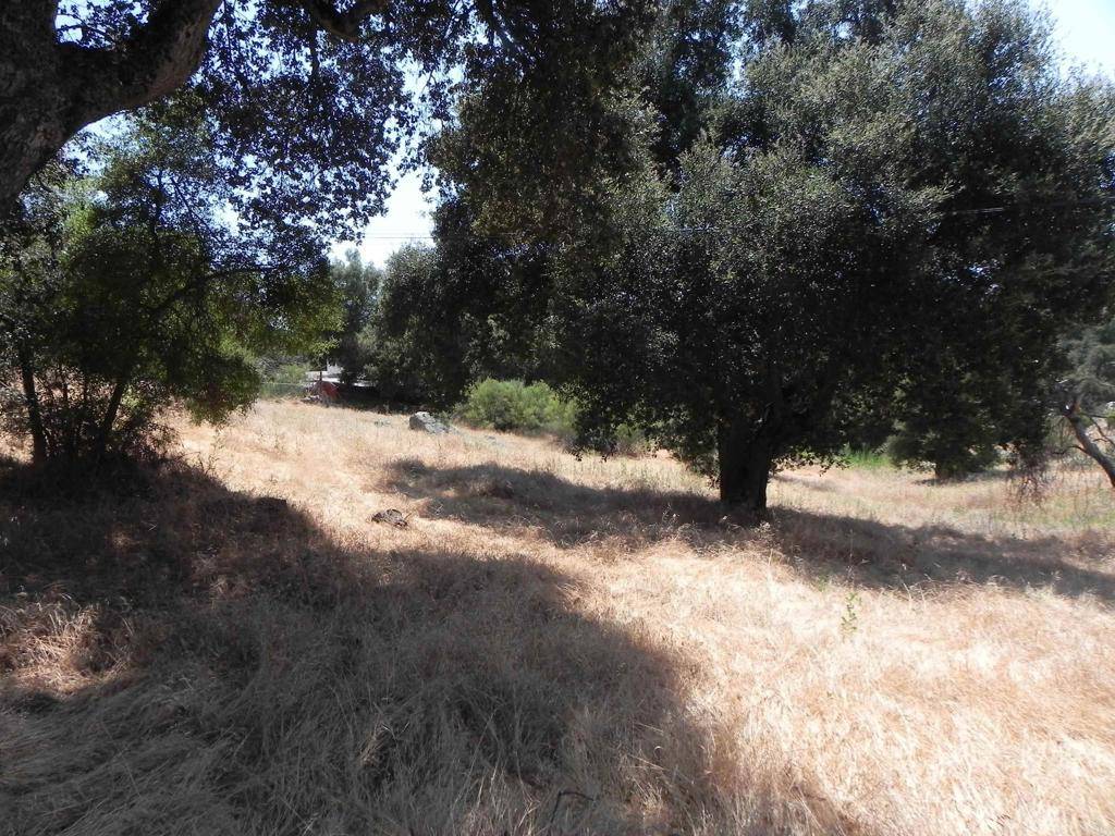 Descanso, CA 91916,0 Arrowhead TRL
