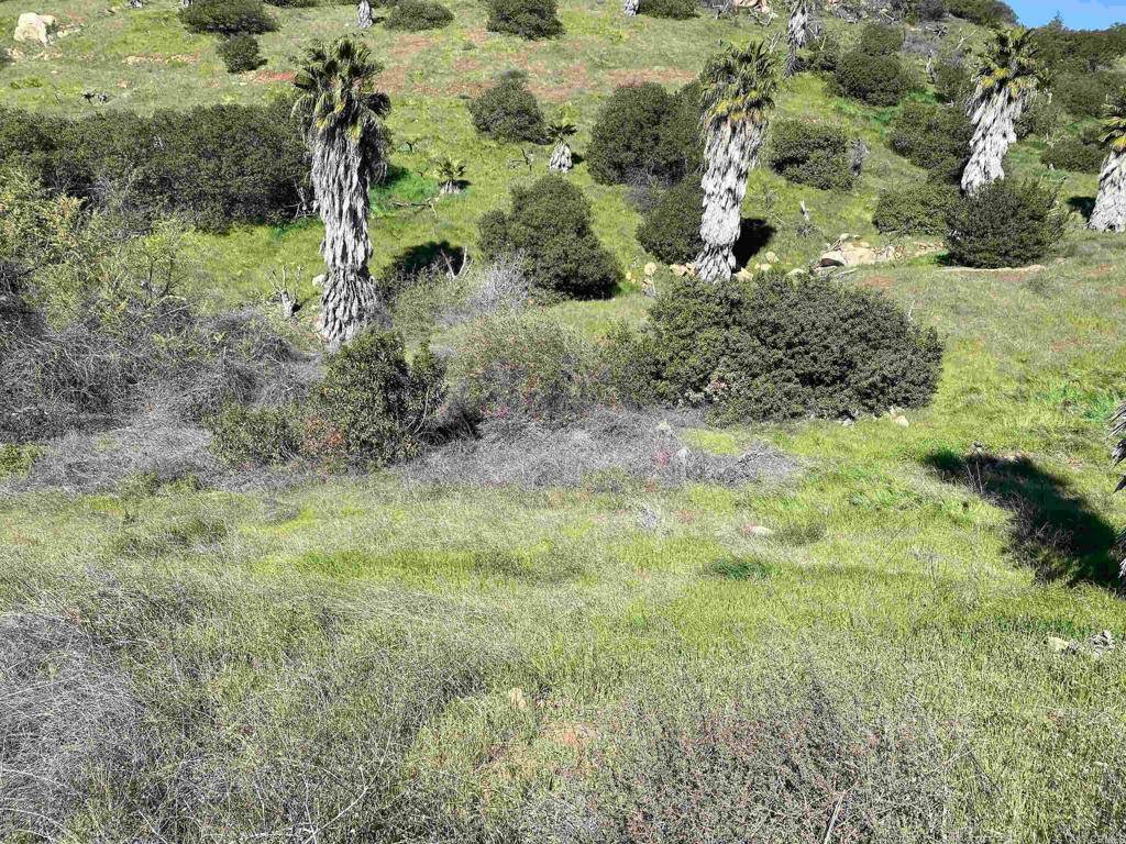 Temecula, CA 92590,21722 Carancho RD