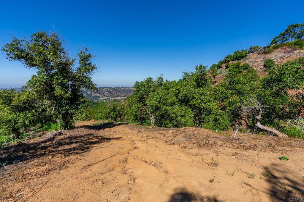 Fallbrook, CA 92028,0 Wilt Road