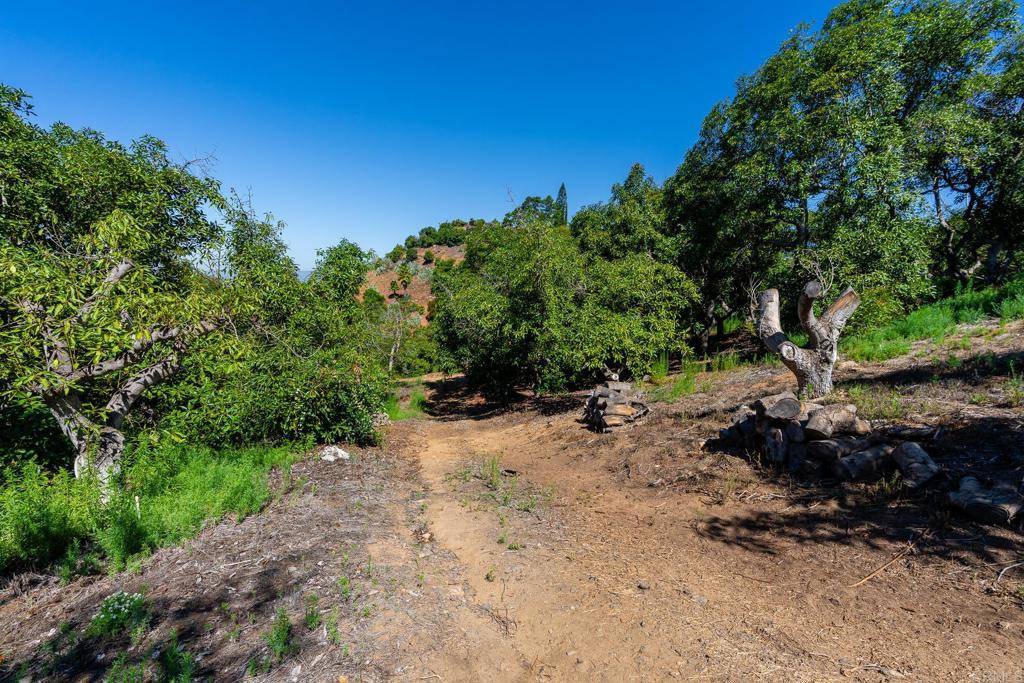 Fallbrook, CA 92028,0 Wilt Road